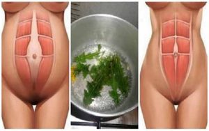 Acabar Con La Grasa Y Reducir La Barriga