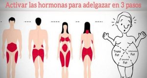 de activar tus hormonas para adelgazar 